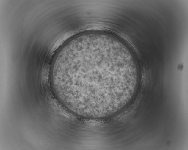 X0000112370874200909101319