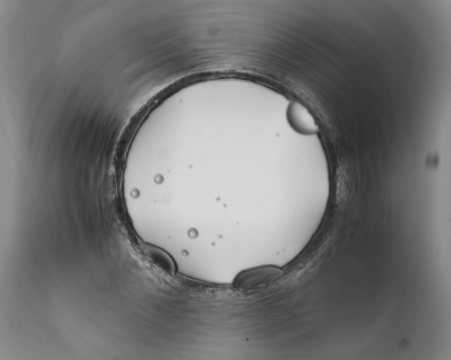 X0000112370876200909101319