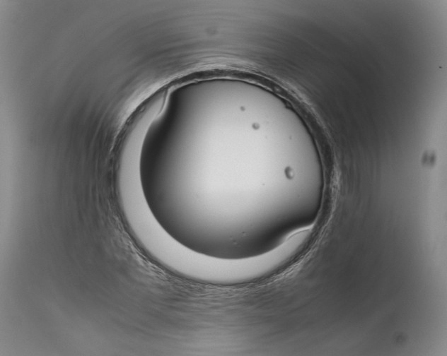 X0000112370877200909101319
