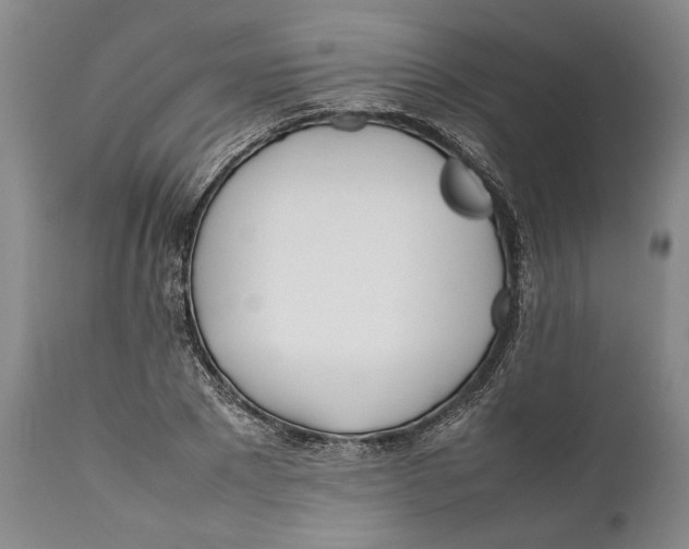 X0000112370881200909101319