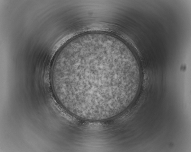 X0000112370882200909101319