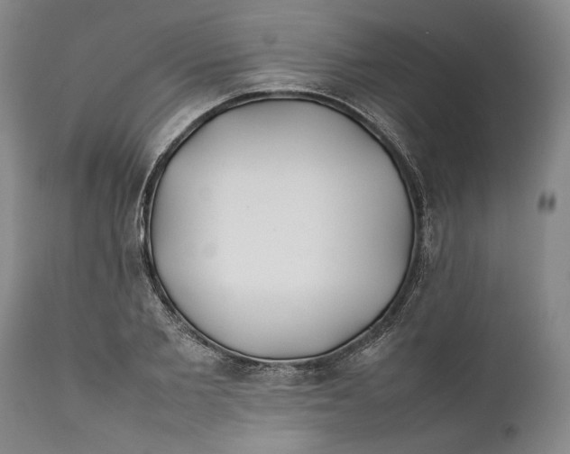 X0000112370885200909101319