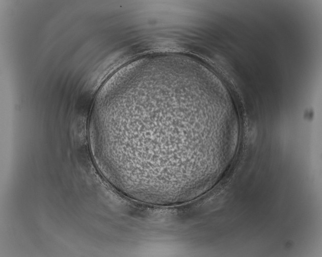 X0000112370889200909101319