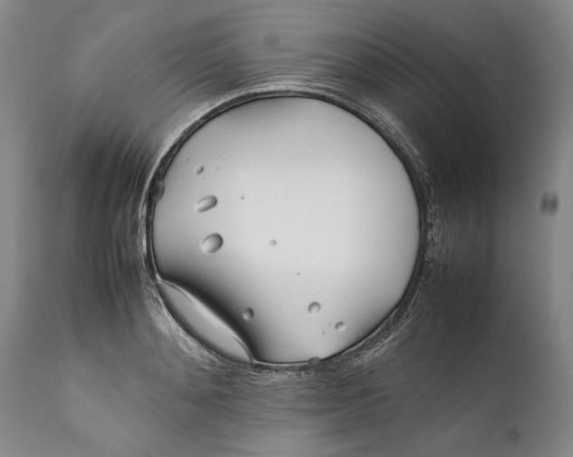 X0000112370892200909101319