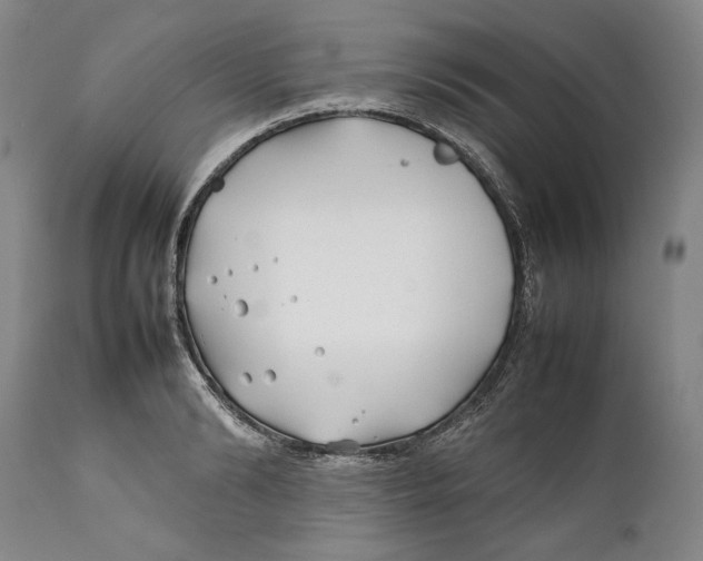 X0000112370894200909101319