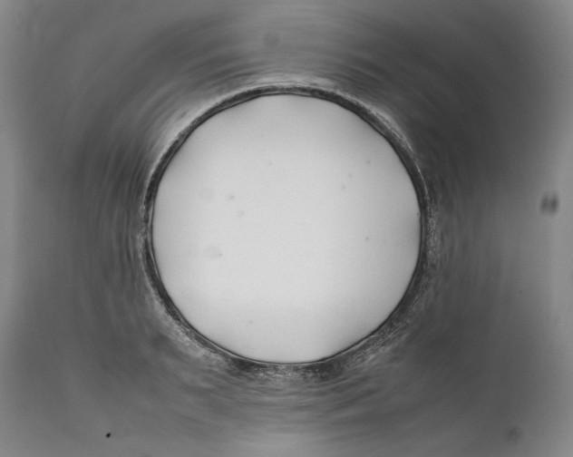 X0000112370895200909101319