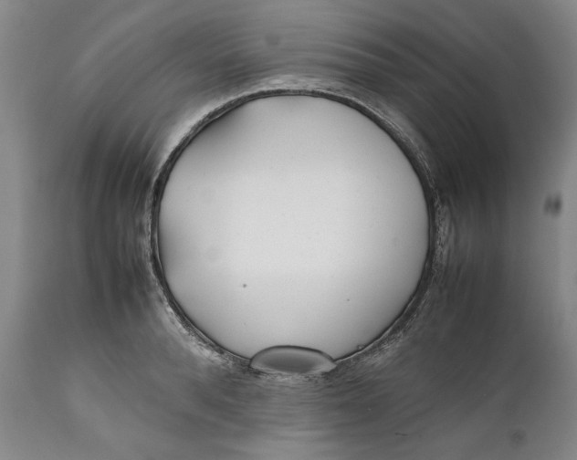 X0000112370896200909101318