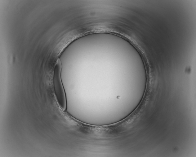 X0000112370897200909101318