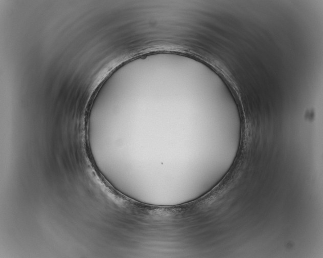 X0000112370898200909101318