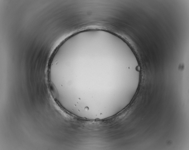 X0000112370902200909101318
