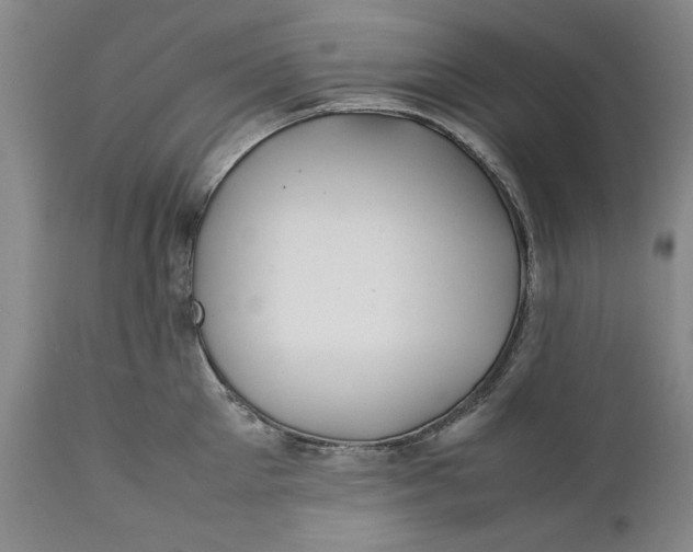 X0000112370905200909101318