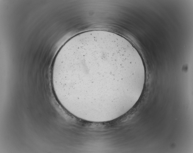 X0000112370907200909101318