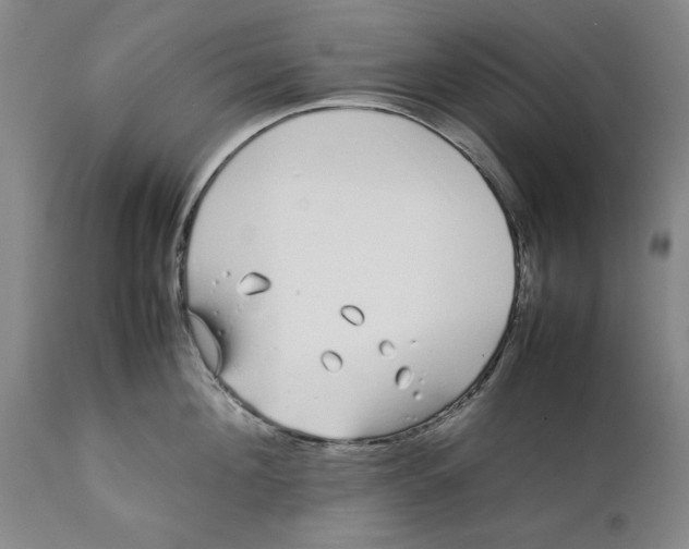 X0000112370908200909101318