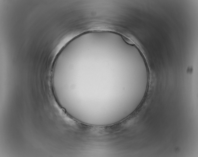 X0000112370909200909101318
