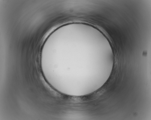 X0000112370911200909101318