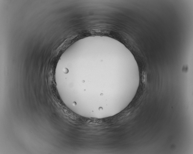 X0000112370915200909101317