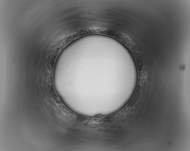 X0000112370917200909101317