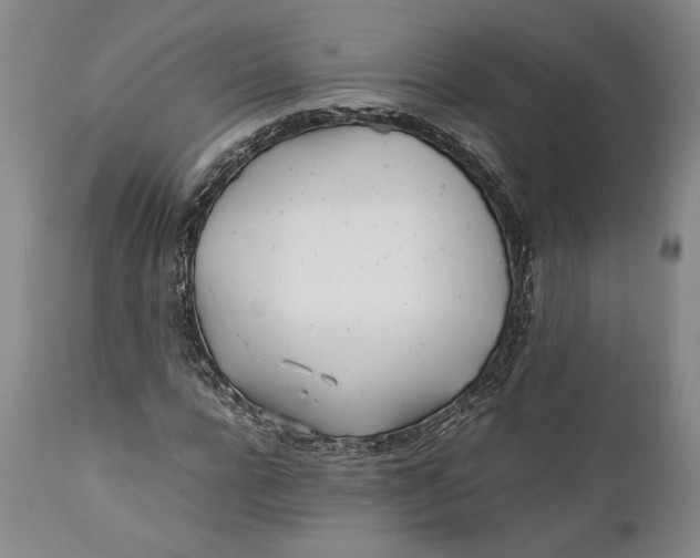 X0000112370920200909101317
