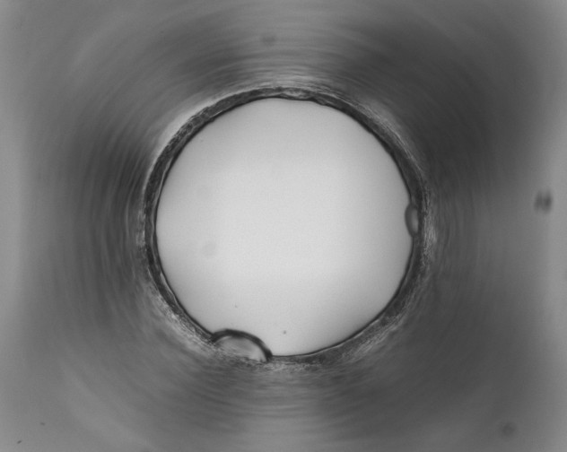 X0000112370924200909101317