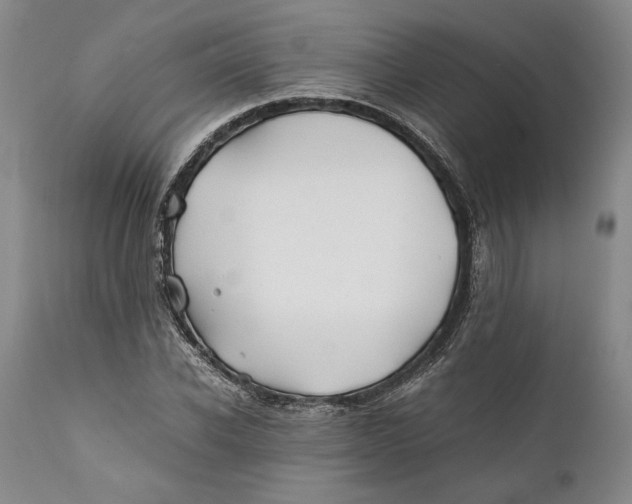 X0000112370926200909101317