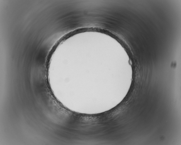X0000112370927200909101317