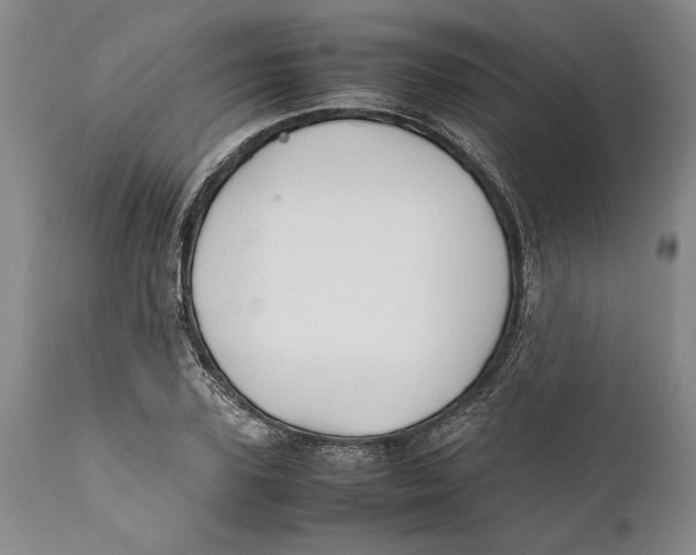 X0000112370931200909101318