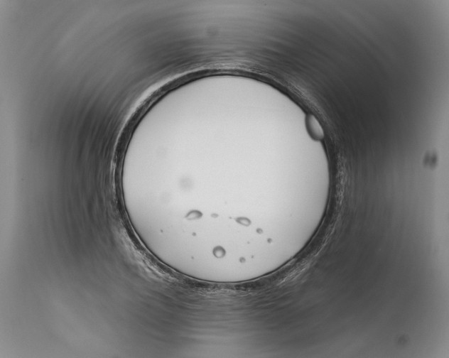 X0000112370932200909101318