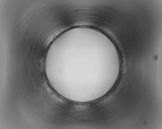 X0000112370937200909101318