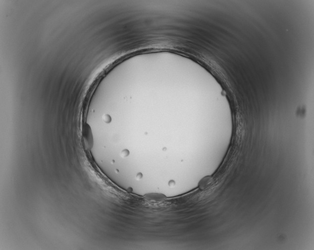 X0000112370939200909101318