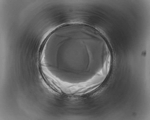 X0000112370941200909101318