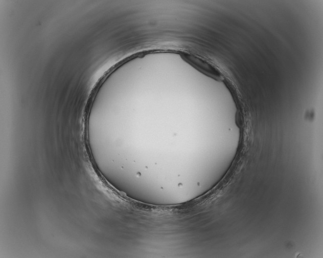 X0000112370944200909101318