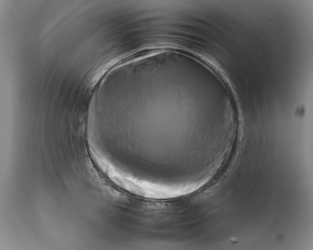 X0000112370945200909101318