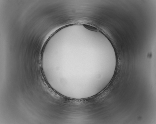 X0000112370948200909101318