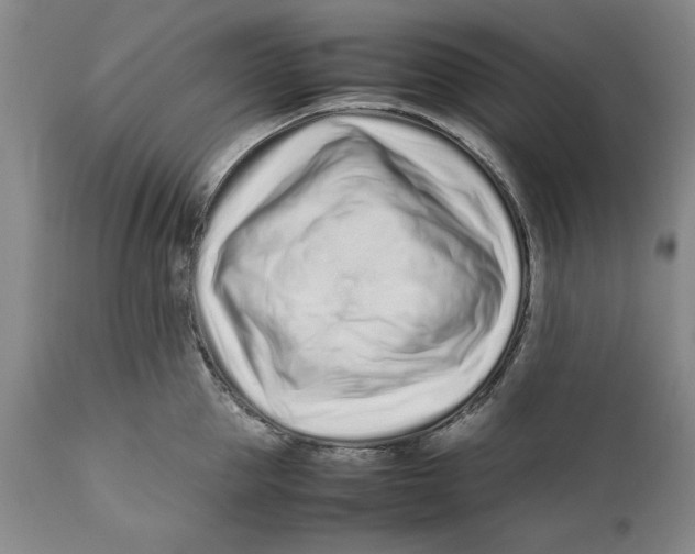 X0000112370953200909101318