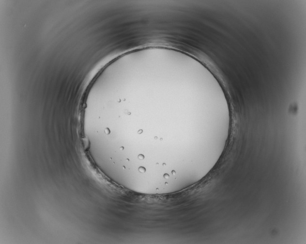 X0000112370955200909101318