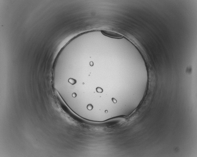 X0000112370956200909101318