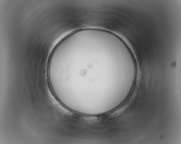 X0000112370957200909101318