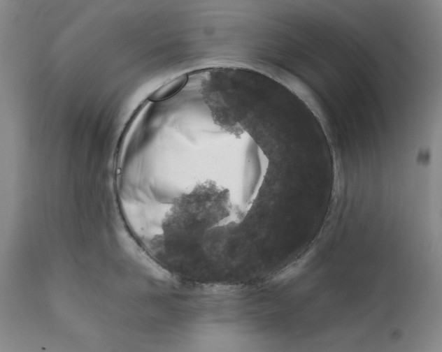 X0000112370958200909101318
