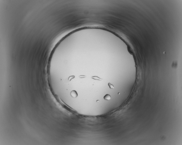 X0000112370959200909101318