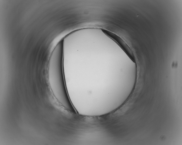 X0000112370960200909101318