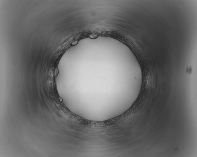 X0000112370964200909101317