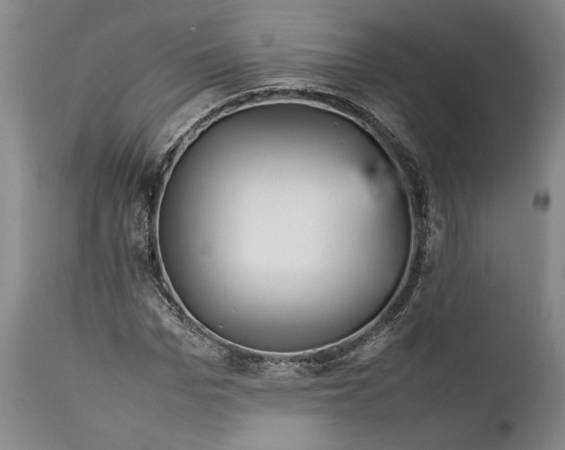 X0000112370969200909101317