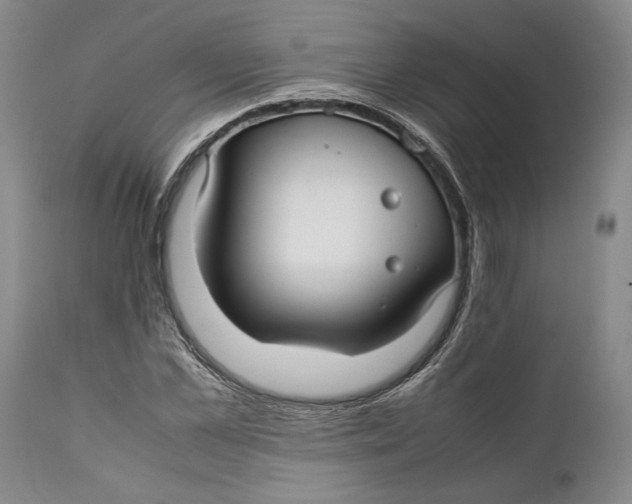 X0000112370973200909101317