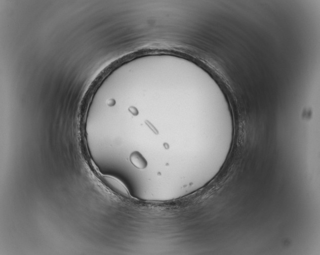 X0000112370976200909101317