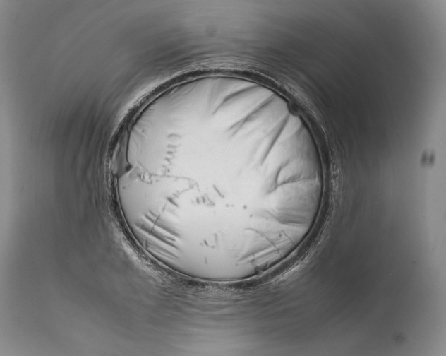 X0000112370981200909101317