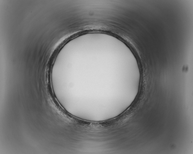 X0000112370983200909101317