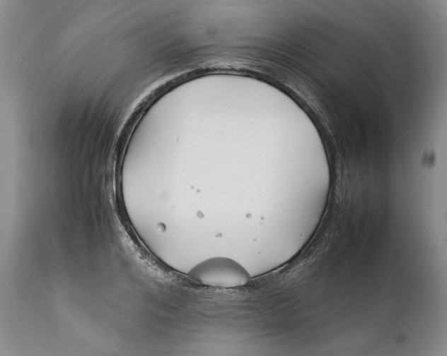 X0000112370984200909101317