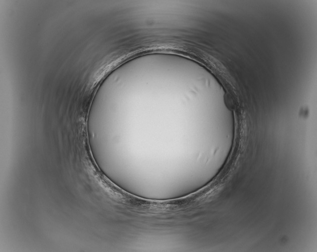 X0000112370985200909101317