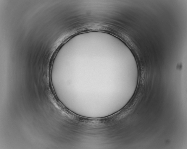 X0000112370986200909101317