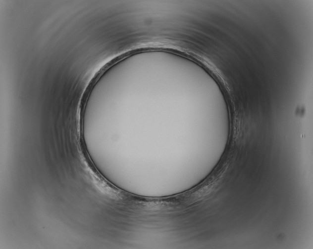 X0000112370988200909101317